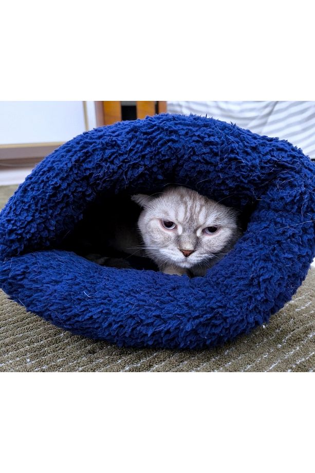 Kedi köpek uyku tulumu yatak mavi velsoft şık tasarım box - 1