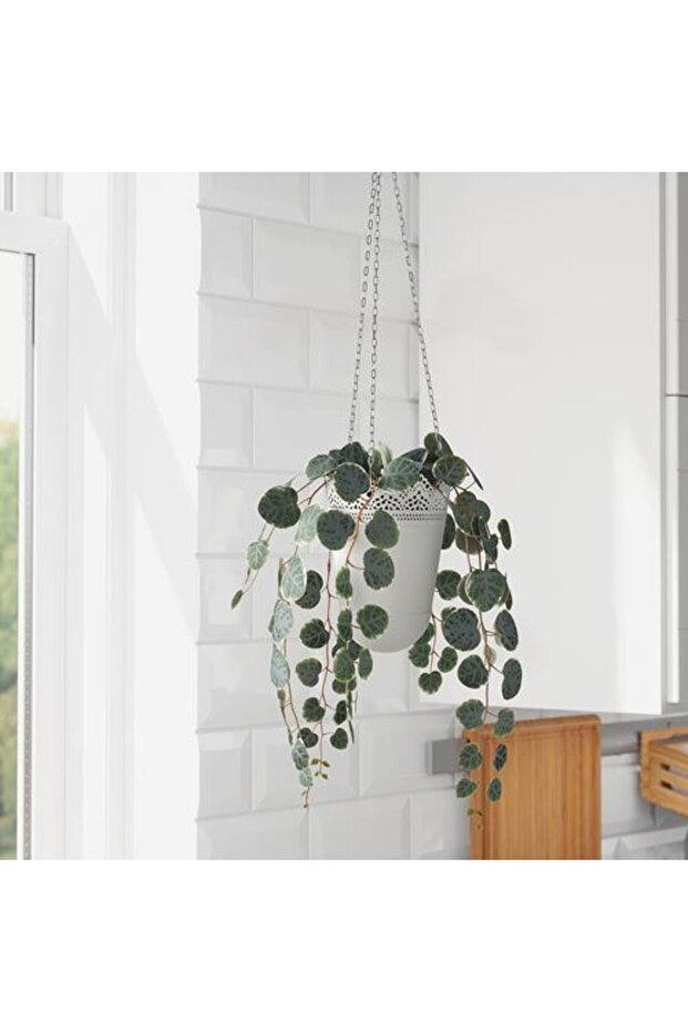 FEJKA yapay bitki, 9 cm - 2