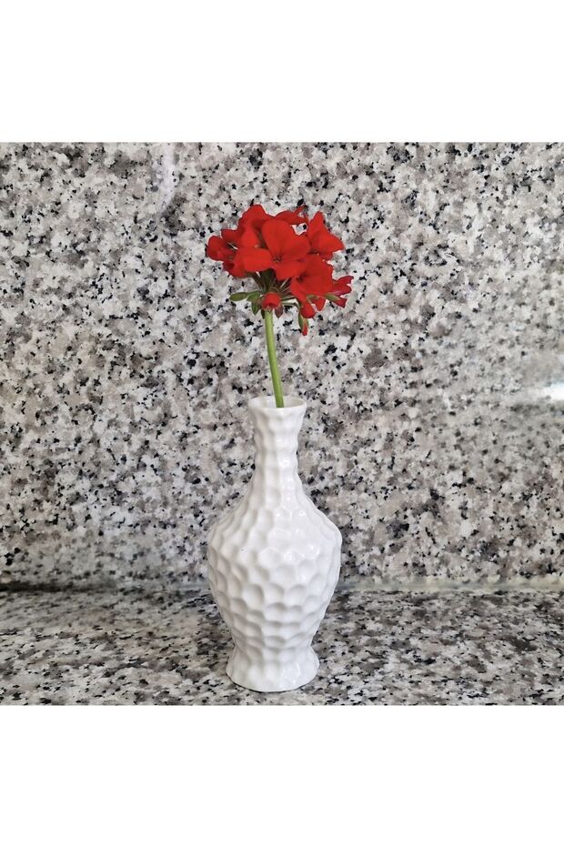 Kırmızı çiçekli Sardunya çiçeği Fidanı, çiçek Fidanı - 4