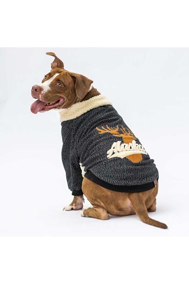 Black Alaska Large Breed Dog Sweat-Dog Apparel