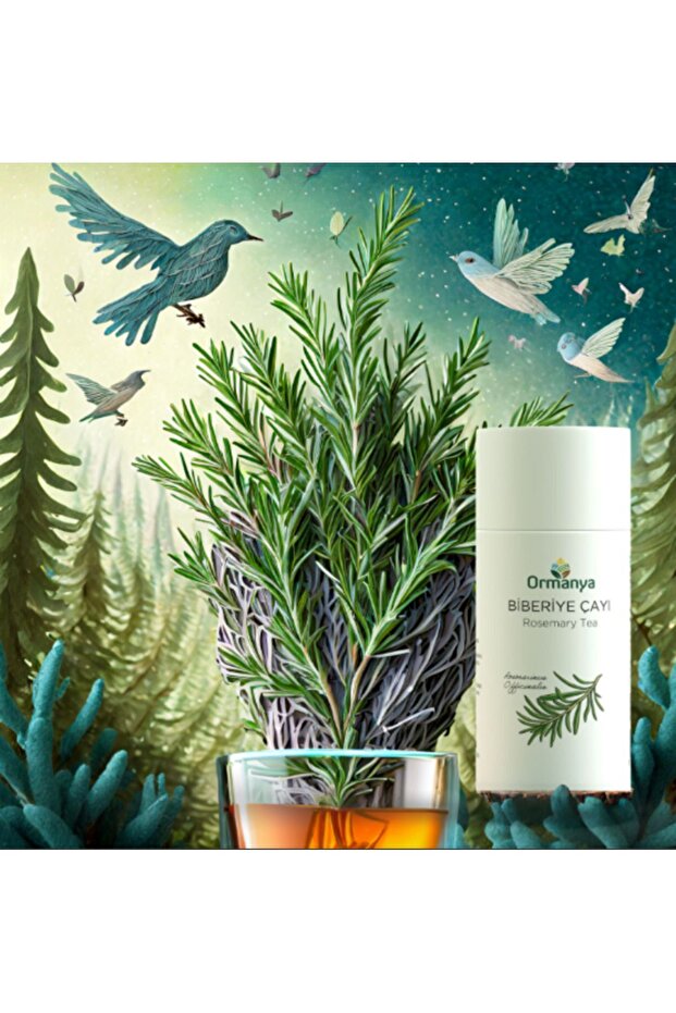 Biberiye Çayı - 70 Gr - 3