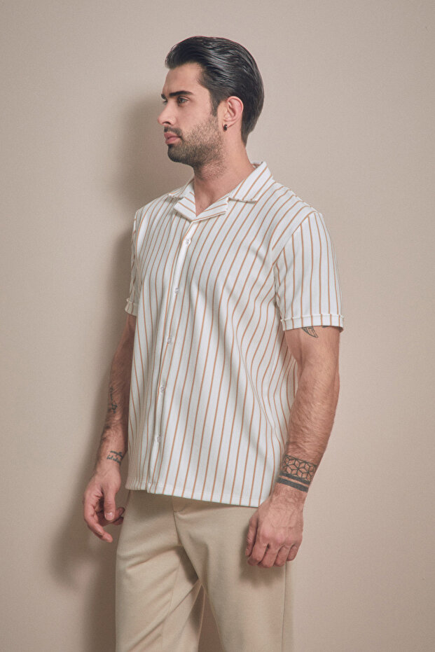 Striped Basic Shirt - 3