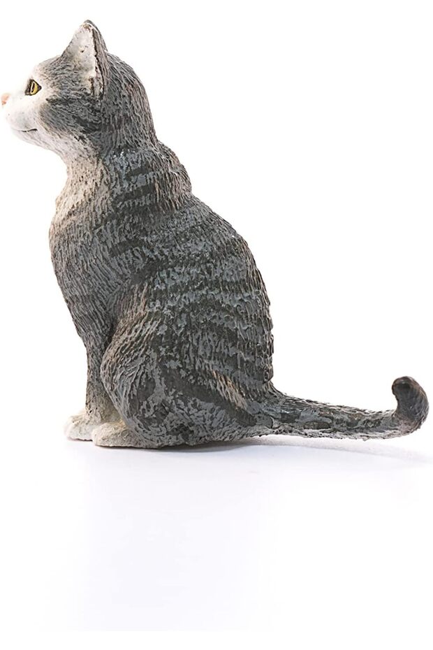 رعاية القطط 13771 - 2