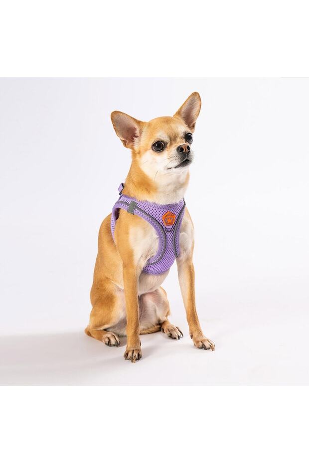 Lilac Air-mesh Chest Collar Cat Dog Chest Collar