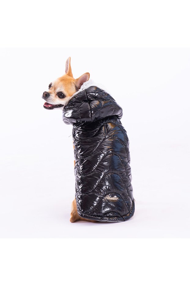 Black Light Wave Anorak Vest Dog Vest Dog Outfit Dog Raincoat