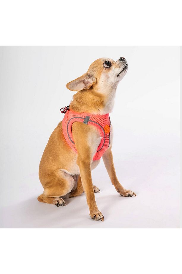 Neon Pembe Air-mesh Göğüs Tasması Kedi Köpek Göğüs Tasması - 2