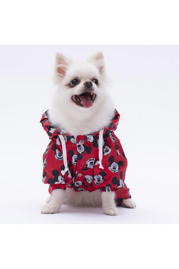 Mickey Mouse Tulum Yağmurluk Köpek Kıyafeti Köpek Yağmurluğu - 2
