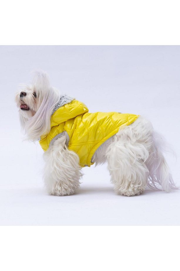 Sarı Light Wave Anorak Yelek Köpek Yeleği Köpek Kıyafeti Köpek Yağmurluk - 8