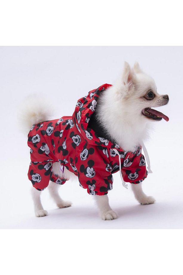 Mickey Mouse Tulum Yağmurluk Köpek Kıyafeti Köpek Yağmurluğu - 3
