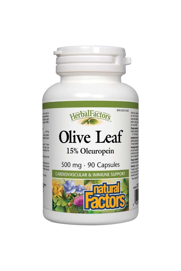 Olive Leaf, 500 mg, 90 Capsules