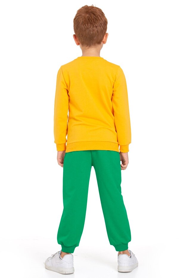 Fish Dinosaur Printed Set - 4