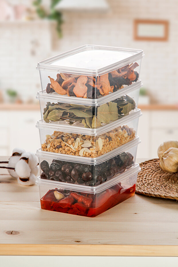 5 Pieces of 1 Liter Self-Covered Freeze Convenient Freezer Storage Container Organizer