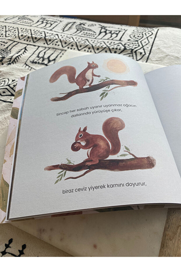 Ceviz Koleksiyoncusu - 4