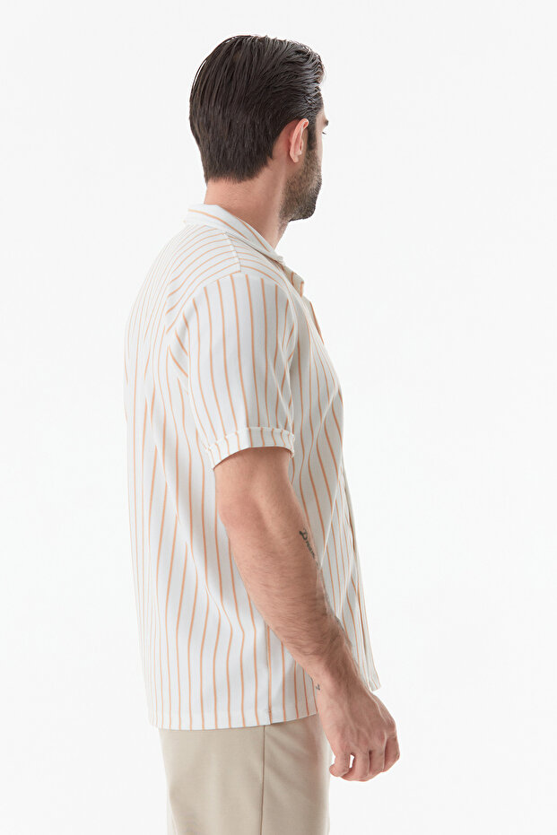 Striped Basic Shirt - 5