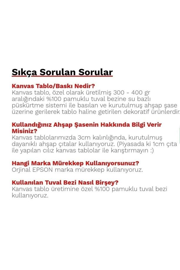Dekoratif Zebra HD Baskı Kanvas Tablo - 6