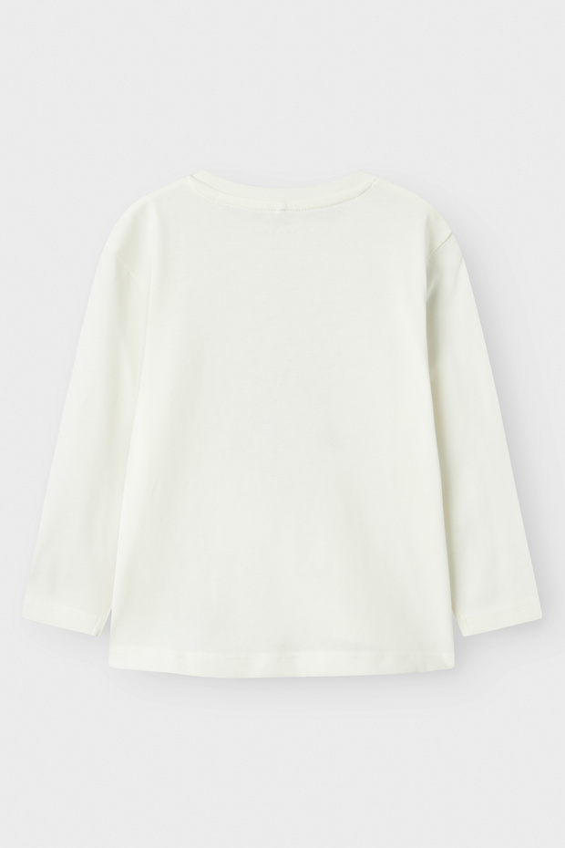 NMFVISMAS LS NREG TOP - 3