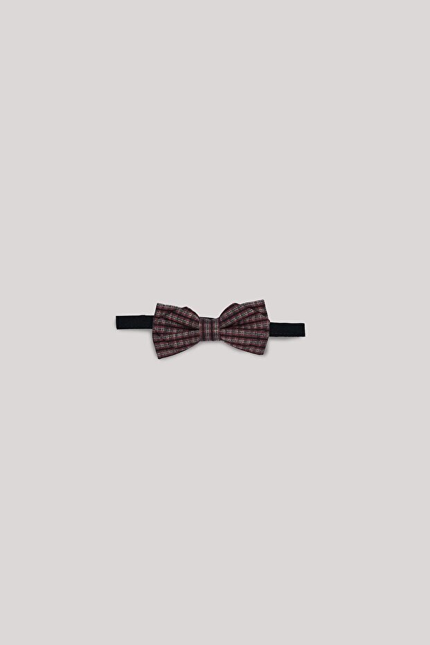 BG Store ربطة عنق مخططة للأولاد