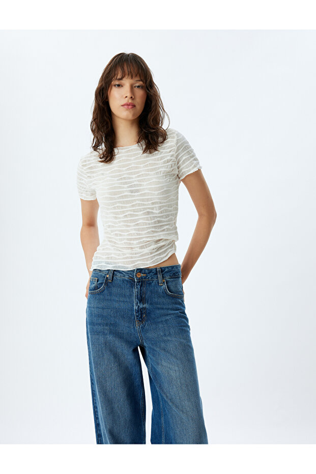 Short Sleeve Round Neck Striped Semi Sheer Crop T-Shirt