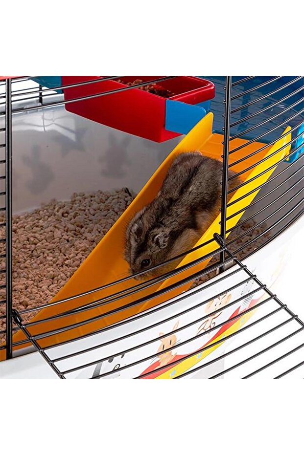 Neşeli Sirk Kafes - 6