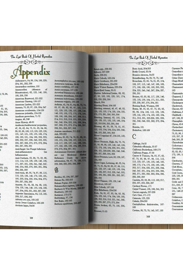 Lost Book Of Natural Herbal Remedies Challenge The Status Quo And Explore The Potent Yet Often-Un... - 6
