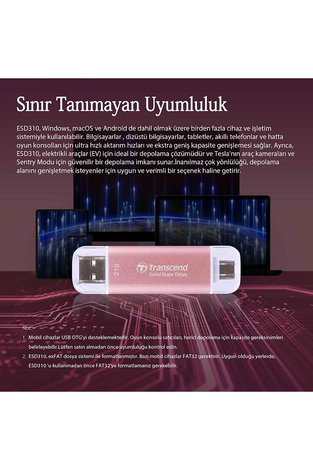 TS1TESD310P 1TB USB/Type-C 10Gbps Taşınabilir Harici SSD - Pembe - 6