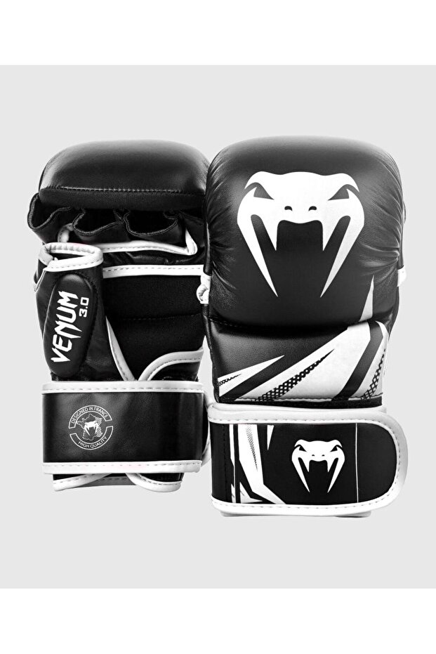 Sparring Gloves Challenger 3.0 - 6