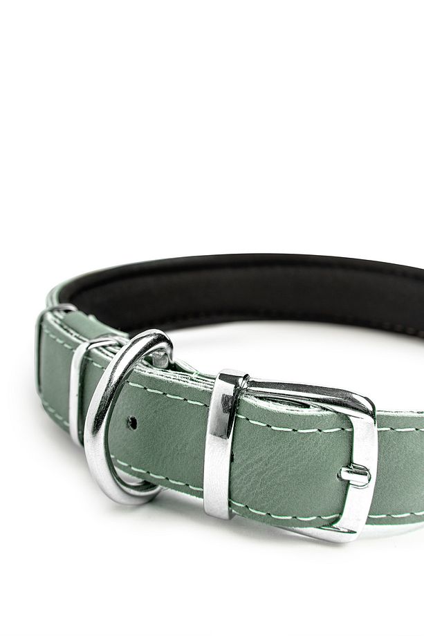 Köpek Tasması, Köpek Boyun Tasması, Büyük Ve Orta Irk Köpek Boyun Tasması - Steff - 4