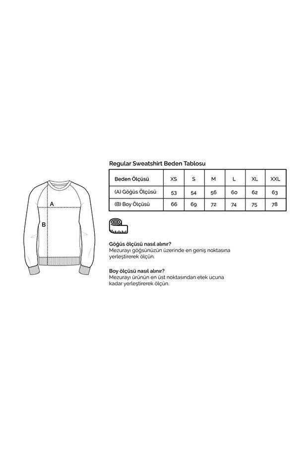 Basic Erkek Regular Sweatshirt - 5