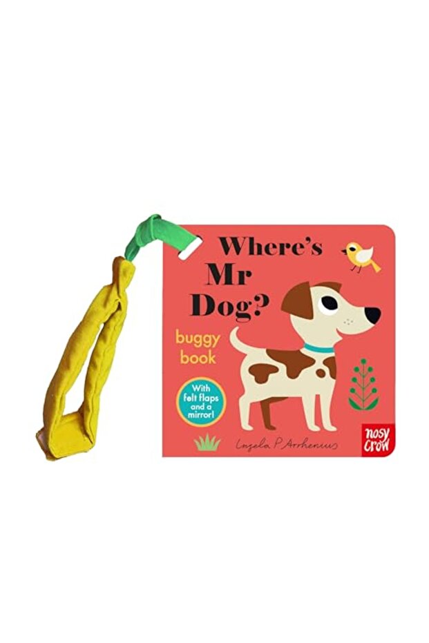 Felt Flaps: Where'S Mr Dog?