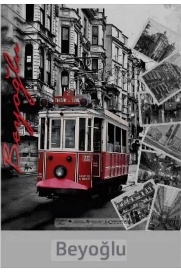 Takviyeli Baskılı Mağaza Poşeti 3'LÜ PAKET (2-3-4 NO) 3X50 (150)Adet 26X38-33X45-40x50 Cm - 7