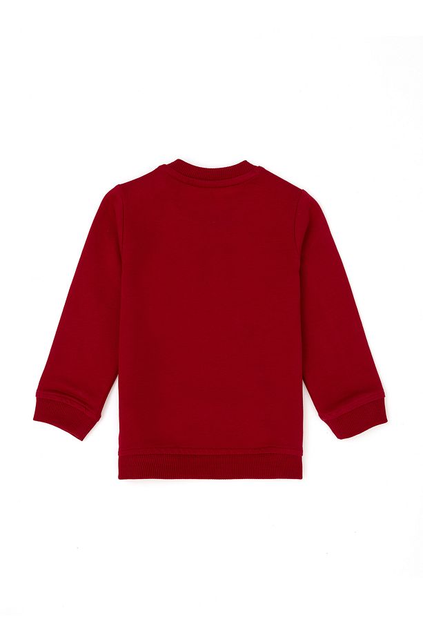Erkek Bebek Kırmızı Basic Sweatshirt 50276002-vr030 - 2