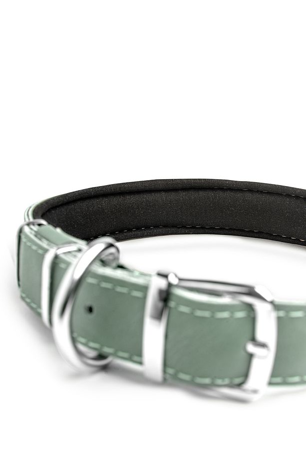 Köpek Tasması, Köpek Boyun Tasması, Büyük Ve Orta Irk Köpek Boyun Tasması - Steff - 5