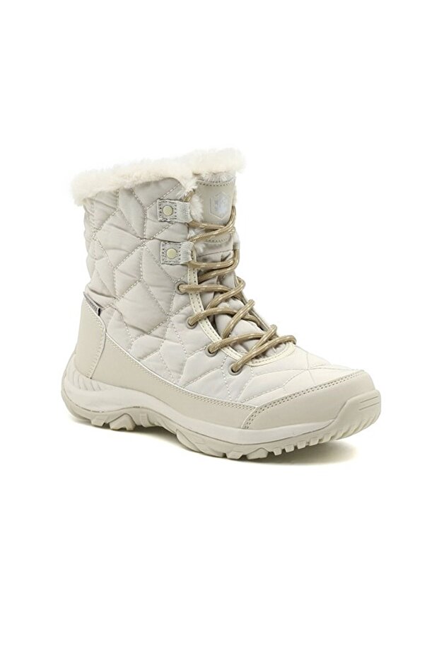 Claudıa Nwp Bot - 2