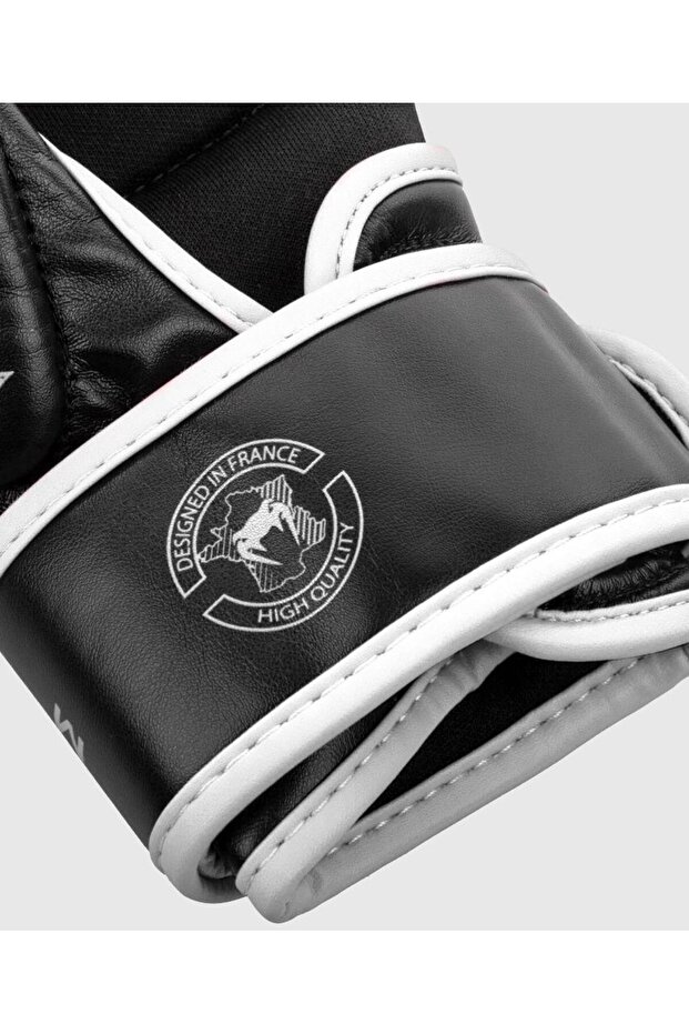 Sparring Gloves Challenger 3.0 - 3