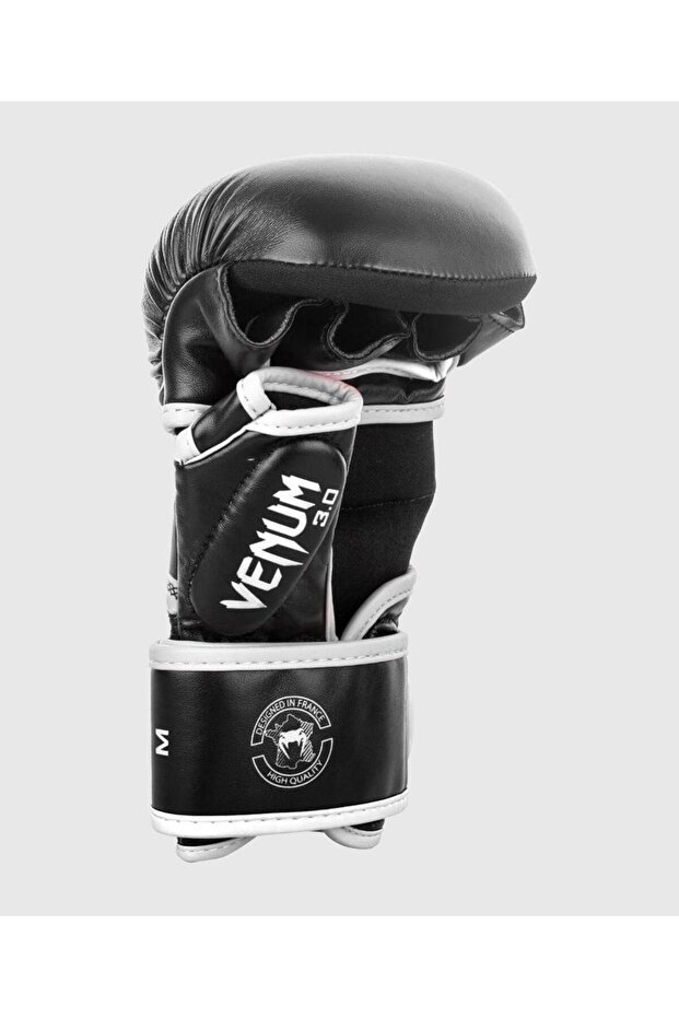 Sparring Gloves Challenger 3.0 - 5
