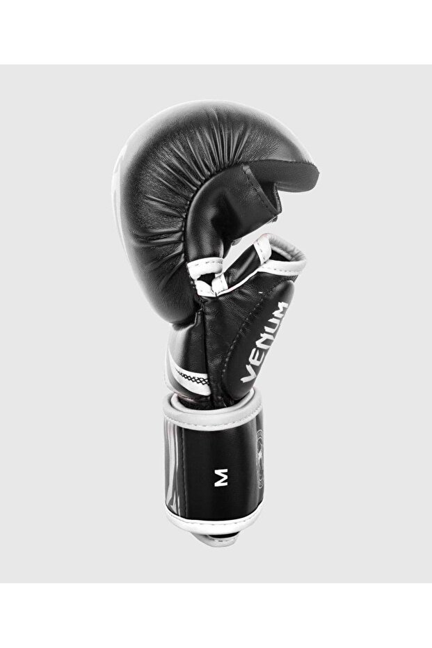 Sparring Gloves Challenger 3.0 - 1