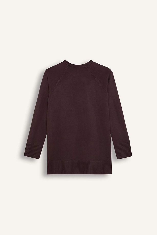 DFM - Regular Fit Bisiklet Yaka Basic Düz Triko Kazak Tunik - 3