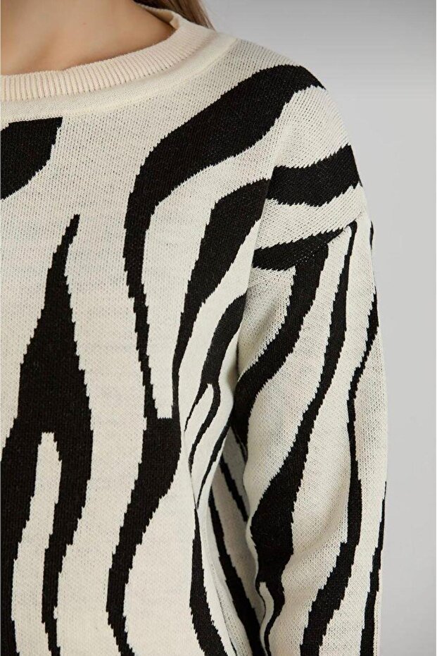 Zebra Patterned Crew Neck Sweater Ecru - 3