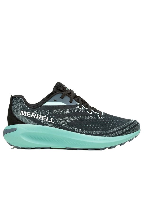 Morphlıte - 1