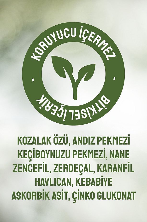 Kozalak Macunu - Andız Pekmezi Zencefil Zerdeçal Ve C Vitaminli 240ml - 3