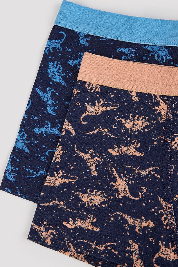 Erkek Çocuk Colorful Dino 2'li Boxer - 4