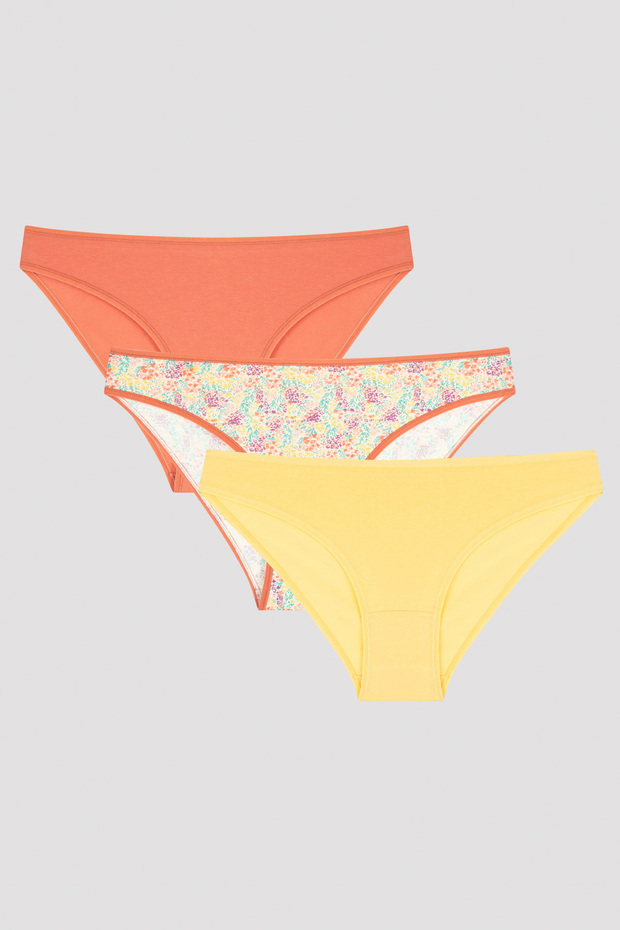 Terra Cotta 3-pack Slip Panties