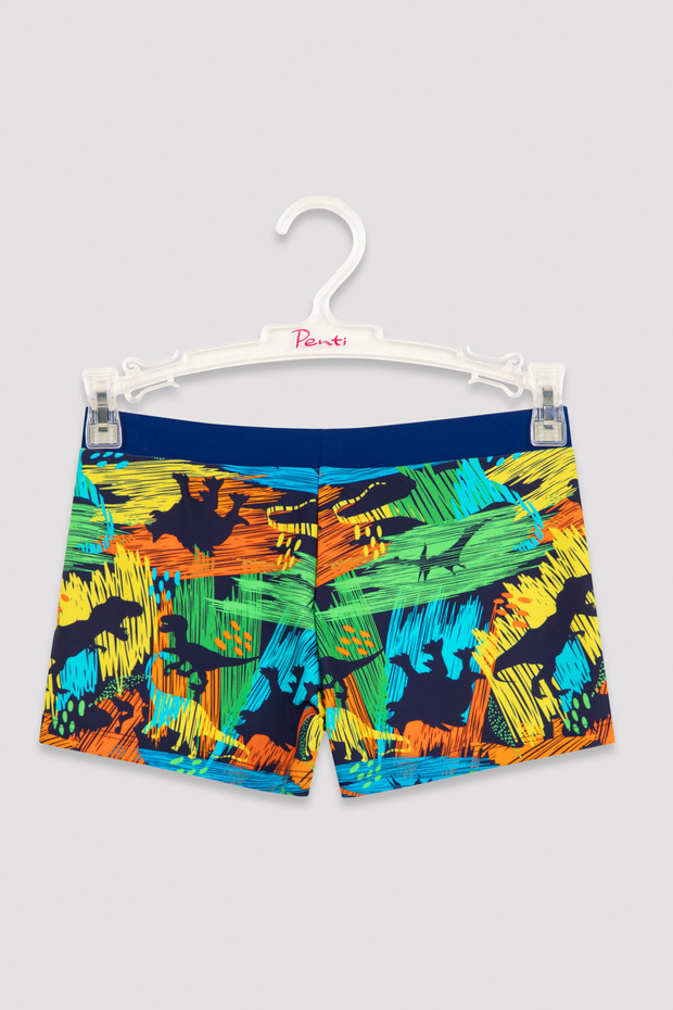 Boy's Multi-Colored Dinosaur Patterned Trunk Swimsuit - 1