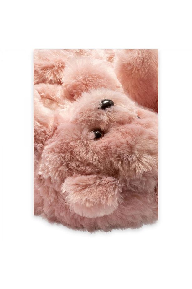 Aa0663 Z Tw Teddy Gül Kurusu Kadın Panduf - 3