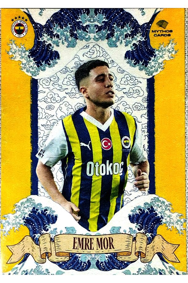 EMRE MOR ELEMENTS 233/750 NOLU KART - 1