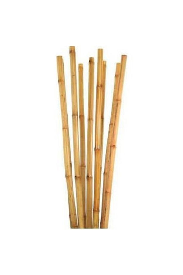 Bambu Bitki Destek Çubuğu 180 Cm 20 Adet - 1