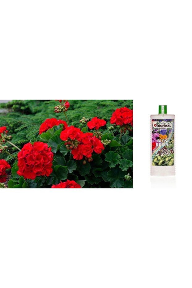 Tropikal Bitki Besini 3 Adet - Genel Kullanım 1000 ml - 4