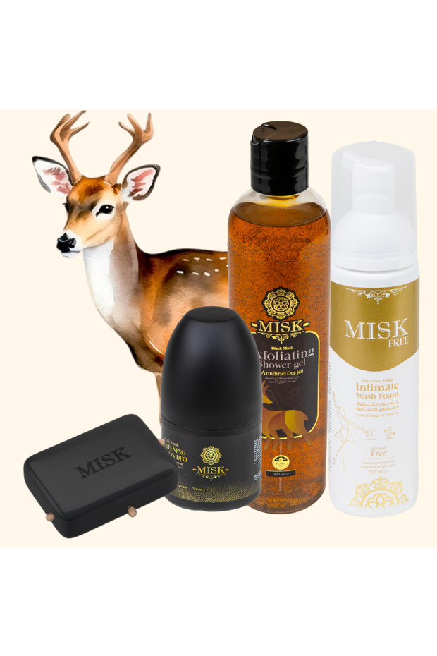 geyiği Musk deer - 1