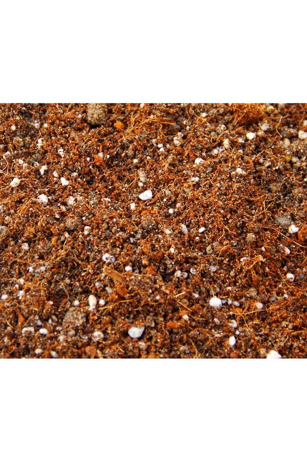 Bitki Toprağı 5 Lt - 5'li Karışım(TORF,PERLİT,KOMPOST,KUM,ORMAN TOPRAĞI) - 3