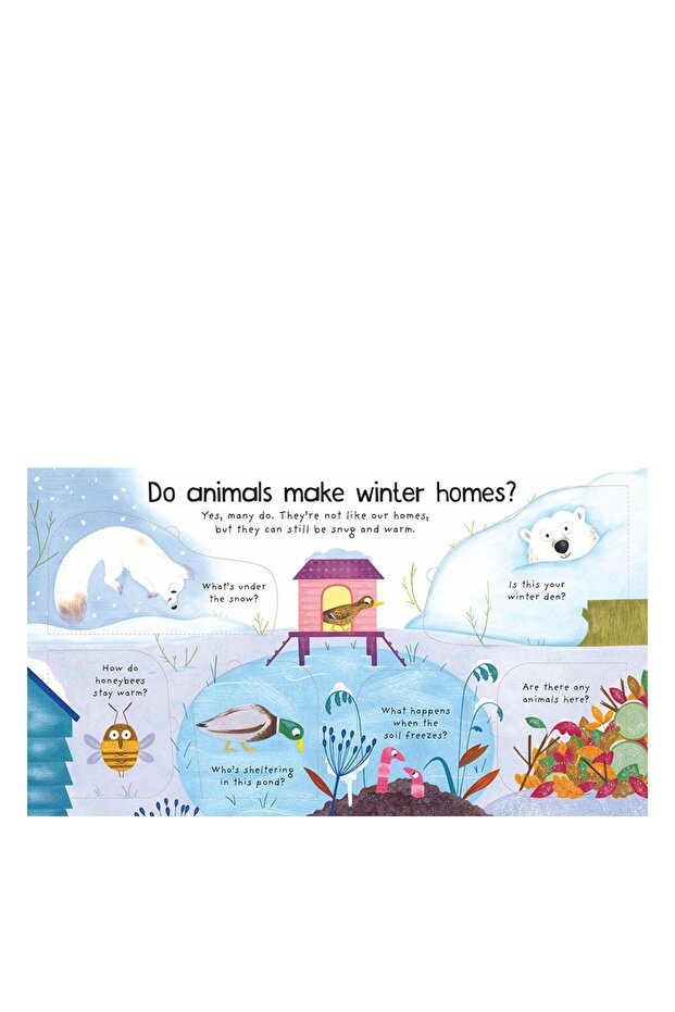 Where Do Animals Go İn Winter - 4